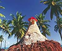 PAQUETES TURISTICOS PORTO DE GALINHAS - MARZO - BRASIL